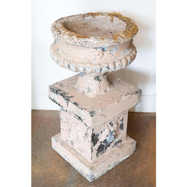 A pair of English Edwardian period reconstituted stone urns on pedestals from the early 20th century, with lion heads and...