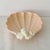 Nautical Vintage Fitz & Floyd Ceramic Sea Shell Corals Trinket Dish Bowl For Sale - Image 3 of 7
