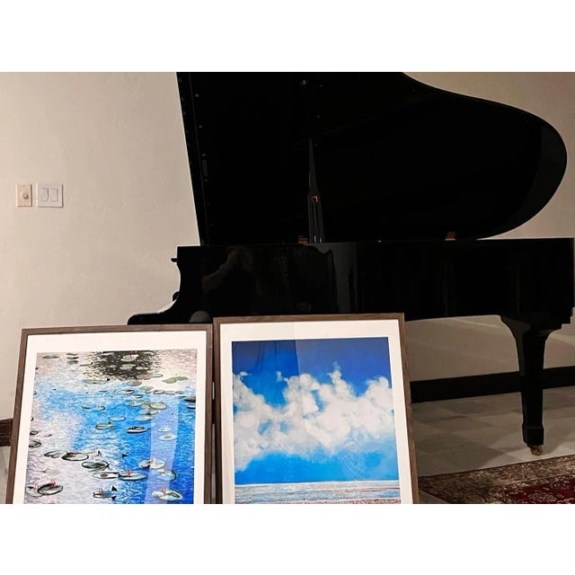 "Clouds and Lilies" Contemporary Original Expressionist Landscape Painting by Shabs Beigh For Sale - Image 10 of 10