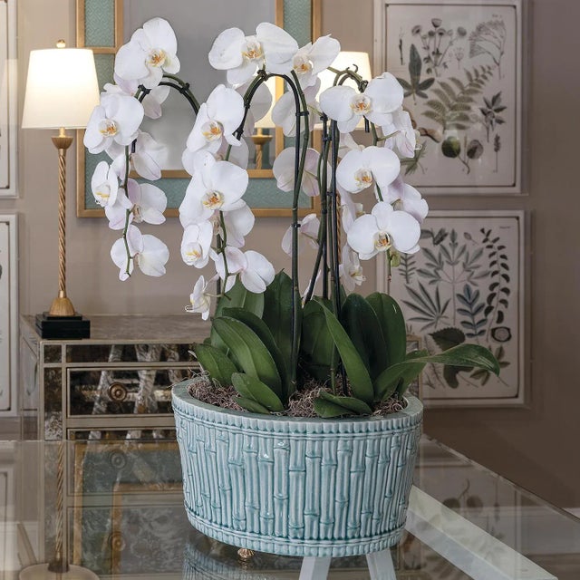 Port 68 Bamboo Garden Celadon Center Basin For Sale - Image 4 of 5