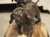 A French 1930s Hunting Dog Group on Marble Base For Sale - Image 9 of 18