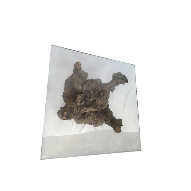 Embrace the charm of mid-century modernism with this Vintage Root Side Table, featuring a sleek glass top that complements...