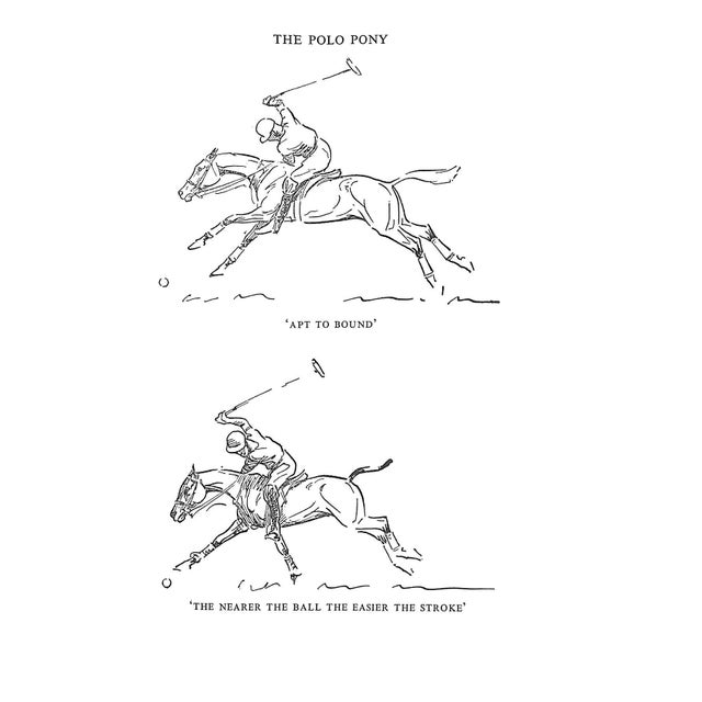 1950s "Polo" 1955 Board, John For Sale - Image 5 of 12