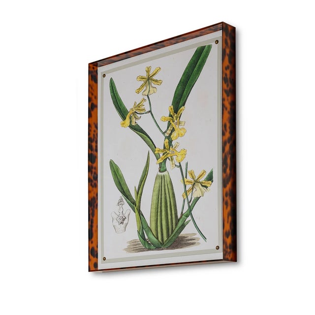The Spring Orchid artwork series features a giclee print mounted under a 2.5" deep tortoise framed acrylic shadow box....