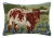 Longhorn in Blue Bonnets Field Hook Pillow, 16" x 22" For Sale