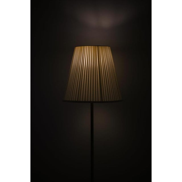 Metal Floor Lamp in Brass and Glass from Bergboms, 1950s For Sale - Image 7 of 9