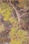 California Landscape Painting by Ralph Holmes (1876-1963) For Sale In Los Angeles - Image 6 of 10