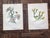 Mid 19th Century Authentic Antique 19th Century Anne Pratt Botanical Chromolithographs - Set of 12 For Sale - Image 5 of 8