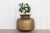 This large antique brass pot from India is a stunning piece of history that was originally used for storing and...