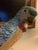 Chelsea House Inc 1990s Chelsea House Porcelain Parrot For Sale - Image 4 of 5