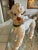 Vintage Italian Ceramic Poodle Figurine For Sale In Miami - Image 6 of 6