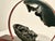 Qiankun — Neo-Chuanpai Bonsai Series For Sale - Image 14 of 15