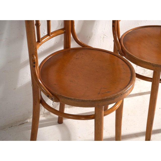 Bentwood Chairs in the style of Thonet, Central Europe, 1930, Set of 4 For Sale - Image 15 of 18