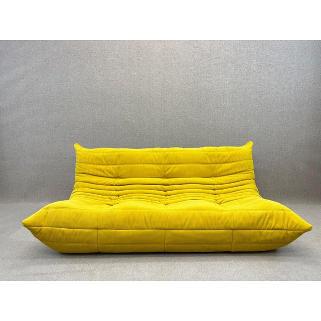 Togo Three-Seater Sofa in Yellow from Ligne Roset, 2012, in Good conditions. Designed 1960 to 1969 This piece has an...