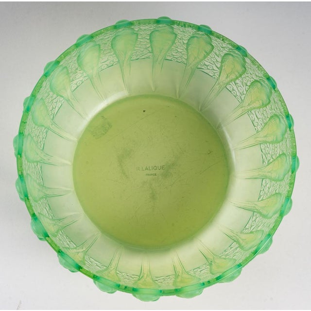 Parruches Cup in Peppermint by René Lalique, 1931 For Sale - Image 6 of 8