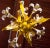 Metal 1960s Vintage Italian Lily Chandelier For Sale - Image 7 of 8