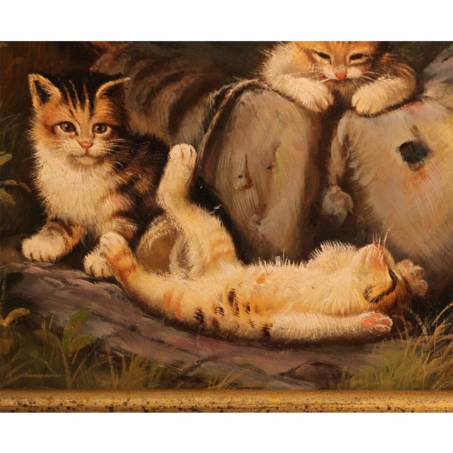 Samuel Koch, Playful Kittens, 20th Century, Oil on Wood, Framed For Sale - Image 5 of 9