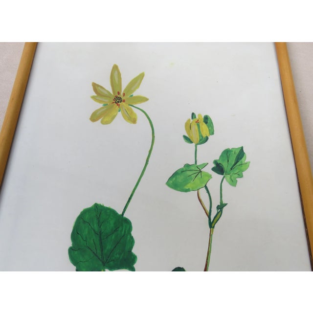 Beige Flowers Watercolor by W. Kratz, 1950s, Set of 4 For Sale - Image 8 of 18