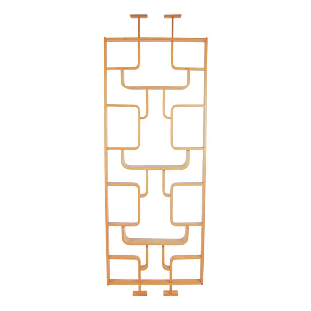Room Divider attributed to Volak for Drevopodnik Holesov, 1960s For Sale