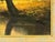 Horse next to River in the Woods of the English Countryside by British Artist 1970 (Circa) For Sale - Image 17 of 18