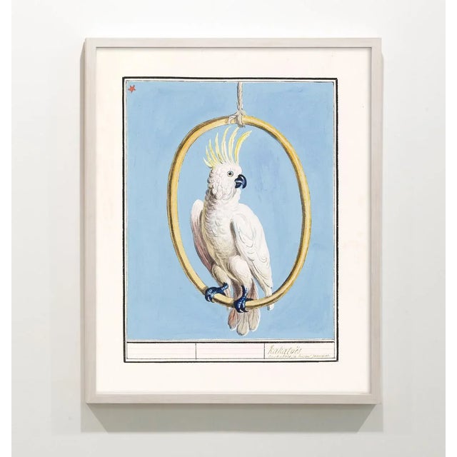 Contemporary Reproduction White Cockatoo Bird on Blue Background Unframed Pigment Print For Sale - Image 3 of 4