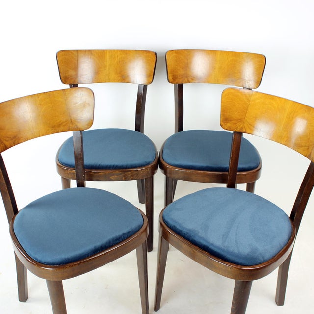 Vintage Tatra Dining Chairs, Czechoslovakia, 1950s, Set of 4 For Sale - Image 6 of 17