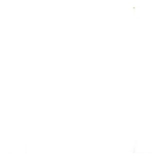 The House of Scalamandré Houndstooth Sisal Wallpaper, Pear For Sale