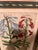 Baroque Emanuel Sweert - Florilegium Botanical - 1612 For Sale - Image 3 of 4