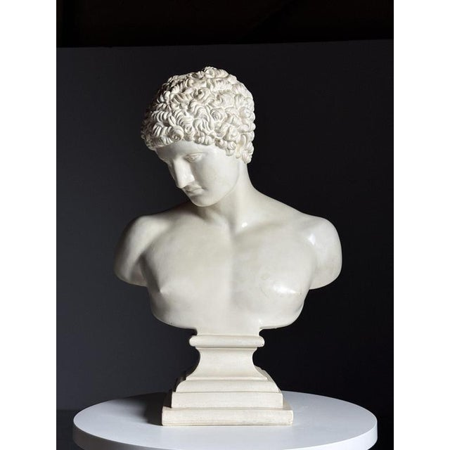 Plaster Bust of Hermes For Sale - Image 17 of 17