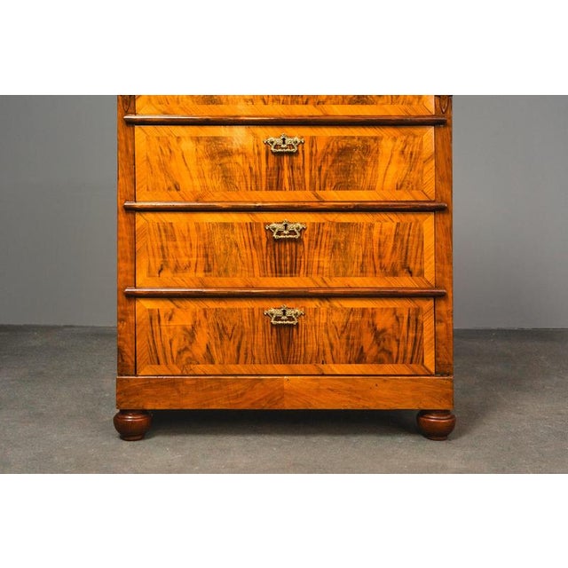 Tall Antique Gründerzeit Chest of Drawers, Late 19th Century For Sale - Image 11 of 18