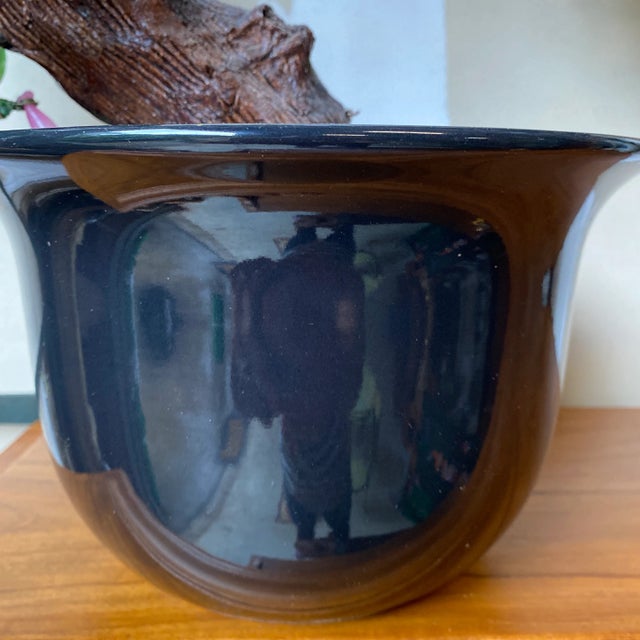 1970s Oversized Japanese Cherry Blossom Tree For Sale In Atlanta - Image 6 of 7