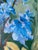 Paper Original Work on Paper-Jardin d'Hiver-Shizico Yi-British Awarded Artist-Impasto-Oil on Paper For Sale - Image 7 of 18
