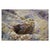 21st Century Turkish Oushak Wool 19x20 Charcoal, Yellow & Blue Oversized Handmade Area Rug #1144068 For Sale - Image 17 of 18