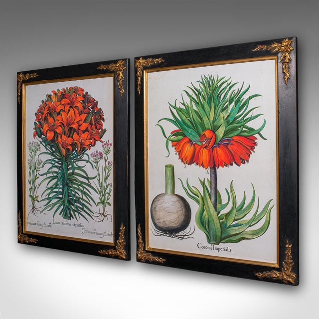 Gothic Pair of Vintage Botanical Pictures, Framed Print, After Besler, Art, Circa 1980 For Sale - Image 3 of 12