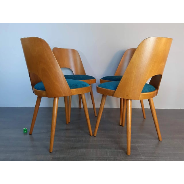 Oswald Haerdtl Blue Fabric & Beech Chairs by Oswald Haerdtl for TON, Set of 4 For Sale - Image 4 of 18