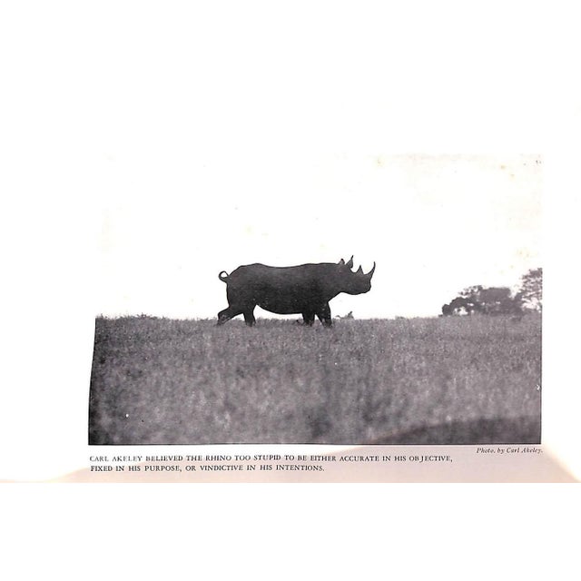 Carl Akeley's Africa: The Account of the Akeley Eastman-Pomeroy African Hall Expedition of the American Museum of Natural History For Sale - Image 11 of 12