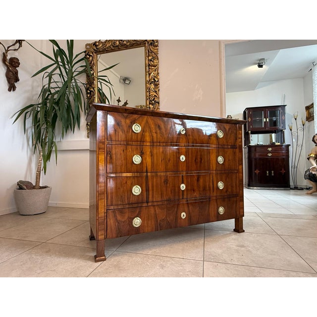 Biedermeier Chest of Drawers in Walnut For Sale - Image 5 of 17
