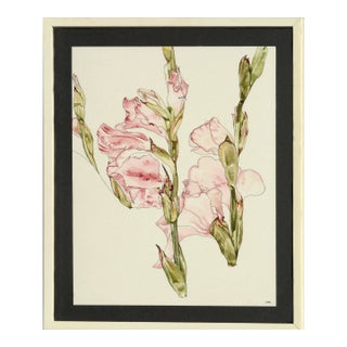 Gladiolas - Botanical Study by Deborah Eddy For Sale