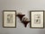 Late 20th Century Vintage Kensington Row Wall Shelf Brackets Corbels For Sale - Image 17 of 17