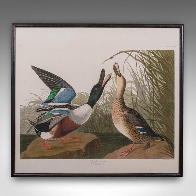 English Pair of Vintage Duck Pictures, English, Framed Print, After Audubon, Art, c.1980 For Sale - Image 3 of 9