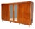 Vintage Wardrobe in Burl Veneer, 1950s For Sale