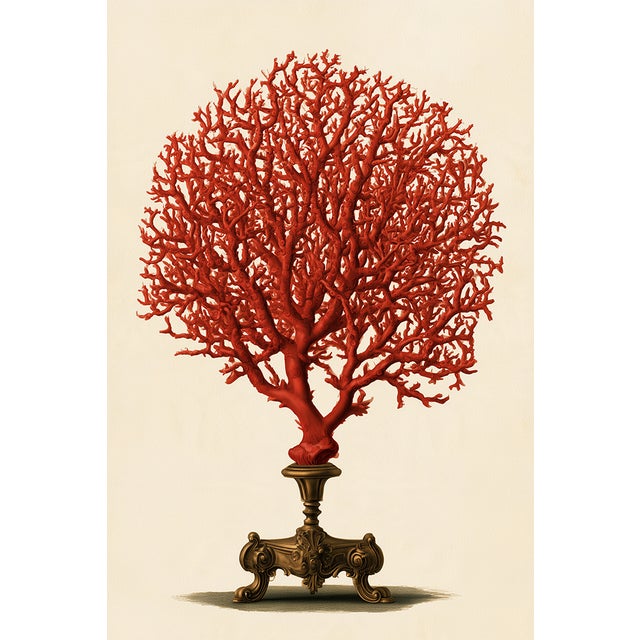 Red Set of 24 — Natural History Cabinet of Curiosities | 19th-Century Natural History Plates | Vintage Scientific Illustration | Gallery Wall Collection For Sale - Image 8 of 18