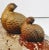 Brown Vintage Mid Century Quail Bird Figurines Pair For Sale - Image 8 of 12