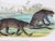 Wood Zoological Etchings by William Panormo - A Set of 4 For Sale - Image 7 of 11