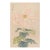 Pink Spider Chrysanthemum by Hasegawa Japanese Botanical Art Print, 24" X 36" For Sale