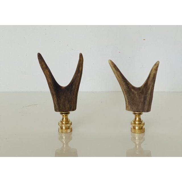 Real deer antlers double tips Bkack Forest lamp finials.