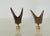 Real deer antlers double tips Bkack Forest lamp finials.