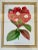 Set of 4 Original 19th-Century L’Illustration Horticole Botanical Chromolithographs by P. De Pannemaecker For Sale - Image 9 of 12