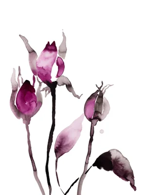 "Rose Study No. 63" Contemporary Original Botanical Ink Painting by Elizabeth Becker