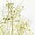 Homage to Van Gogh Poster after Giuseppe Penone, 1990 For Sale - Image 4 of 6